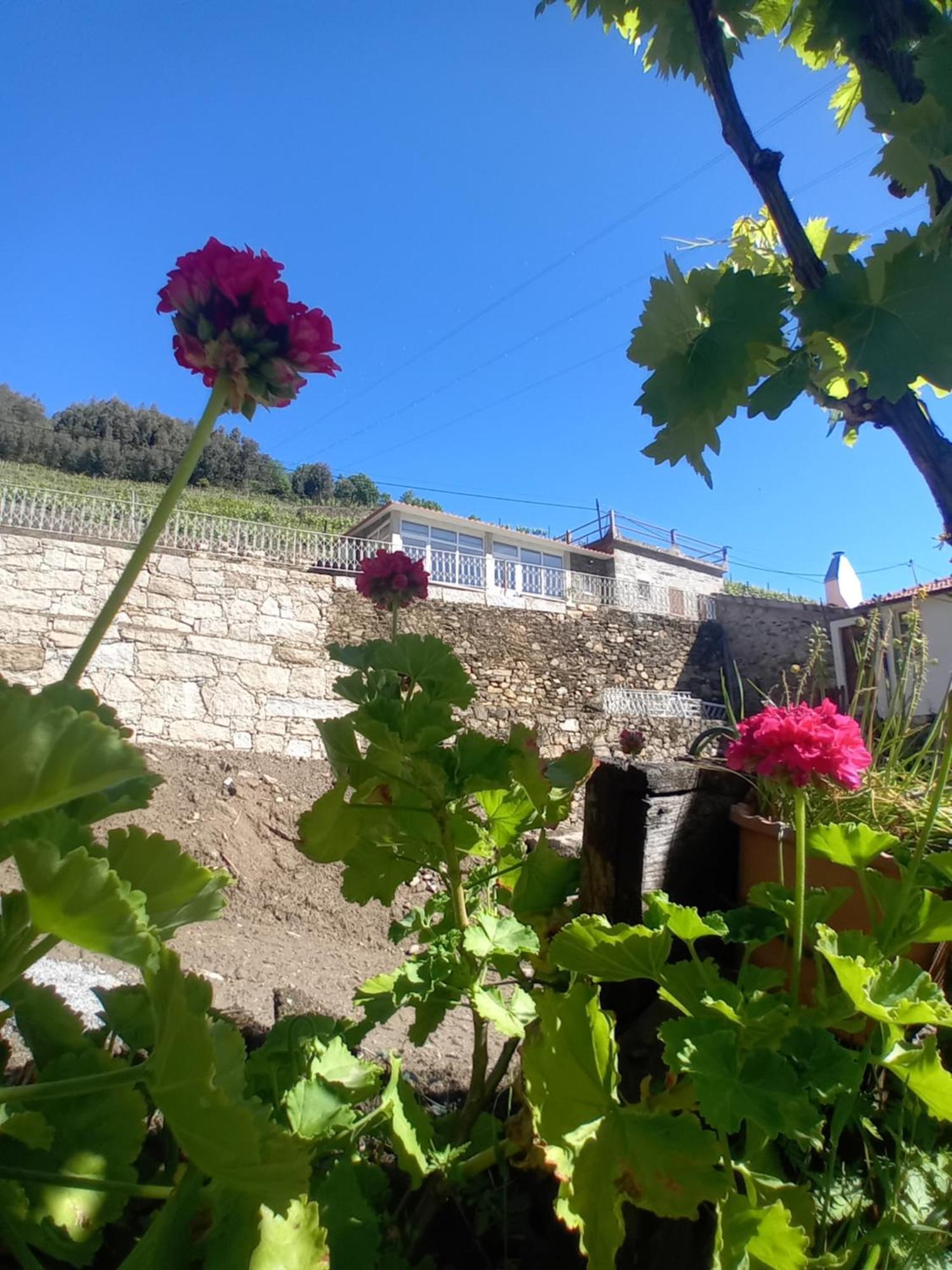 Casa Da Quinta Do Porto Villa Lamego Kültér fotó