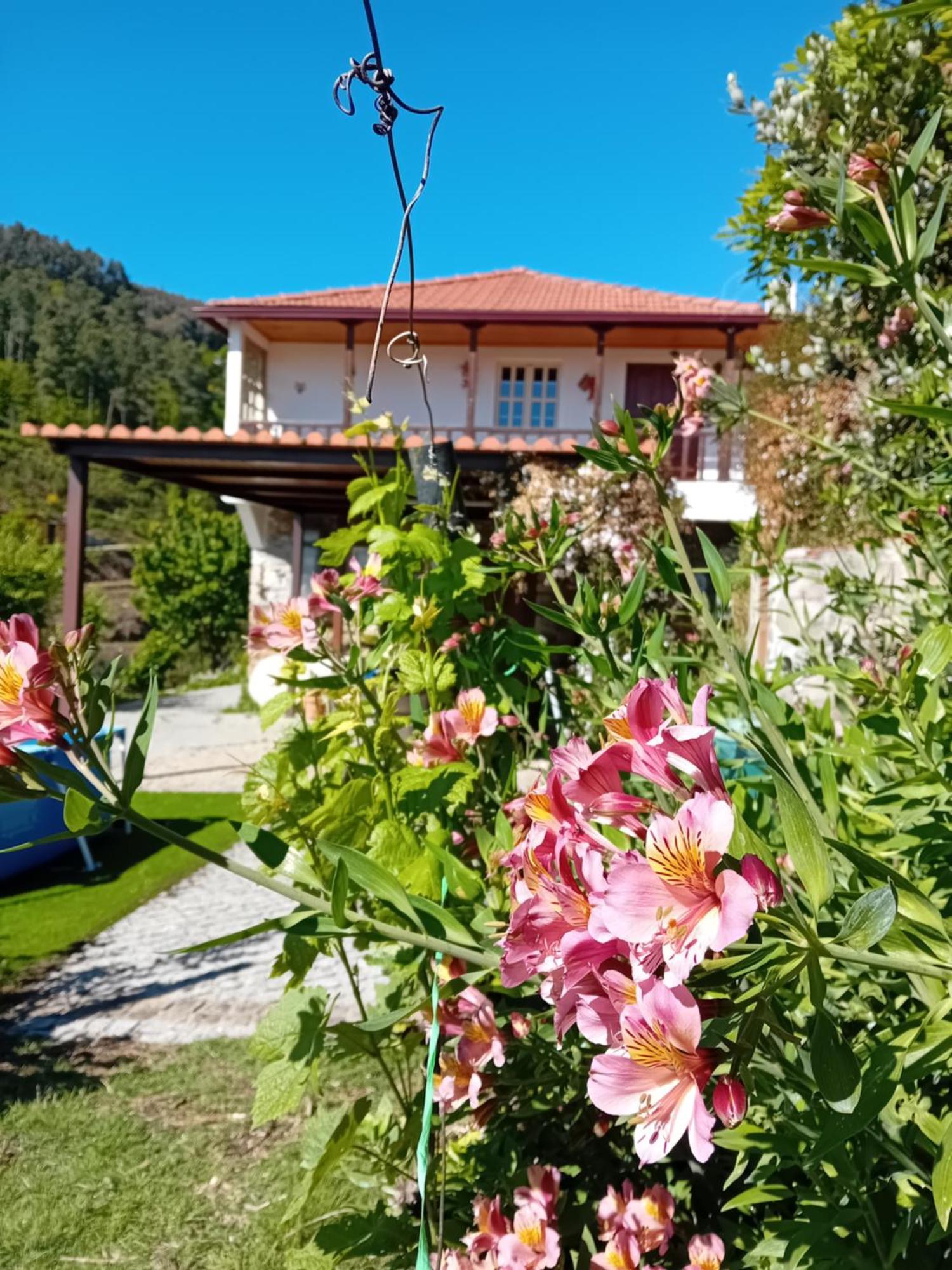 Casa Da Quinta Do Porto Villa Lamego Kültér fotó