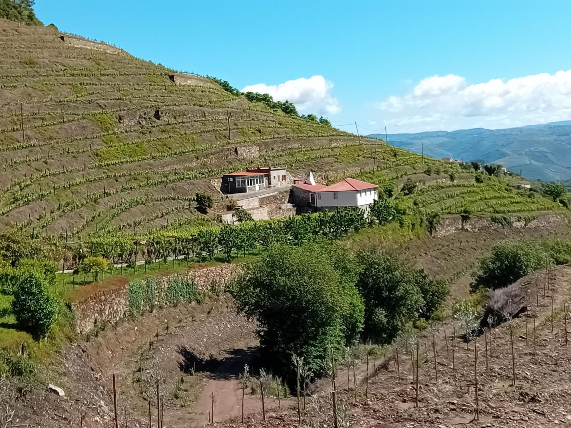 Casa Da Quinta Do Porto Villa Lamego Kültér fotó