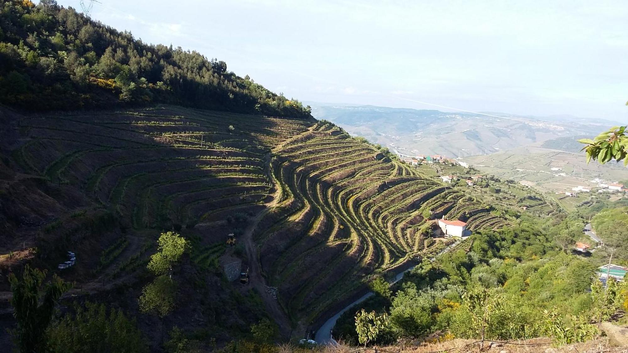 Casa Da Quinta Do Porto Villa Lamego Kültér fotó