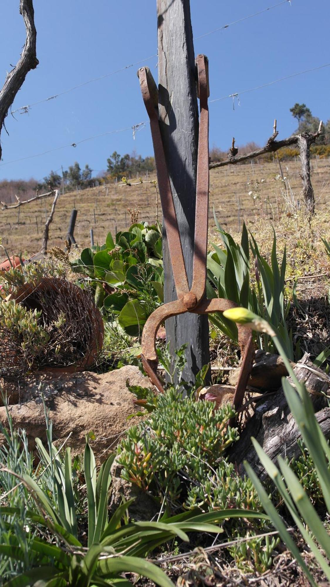Casa Da Quinta Do Porto Villa Lamego Kültér fotó