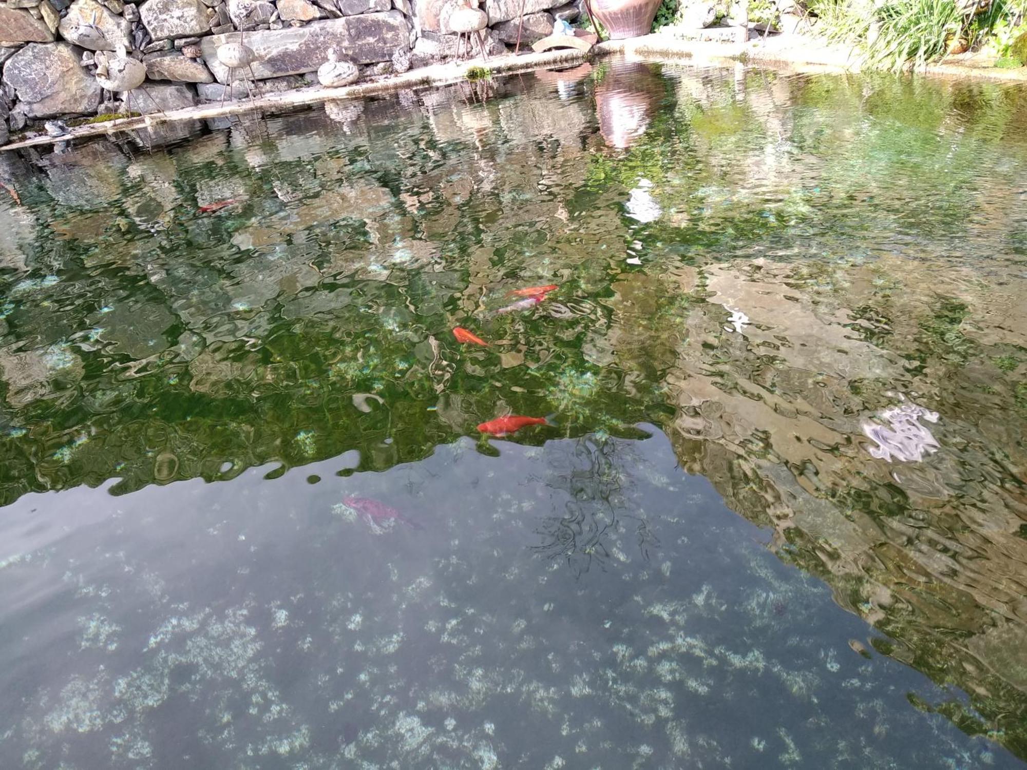 Casa Da Quinta Do Porto Villa Lamego Kültér fotó