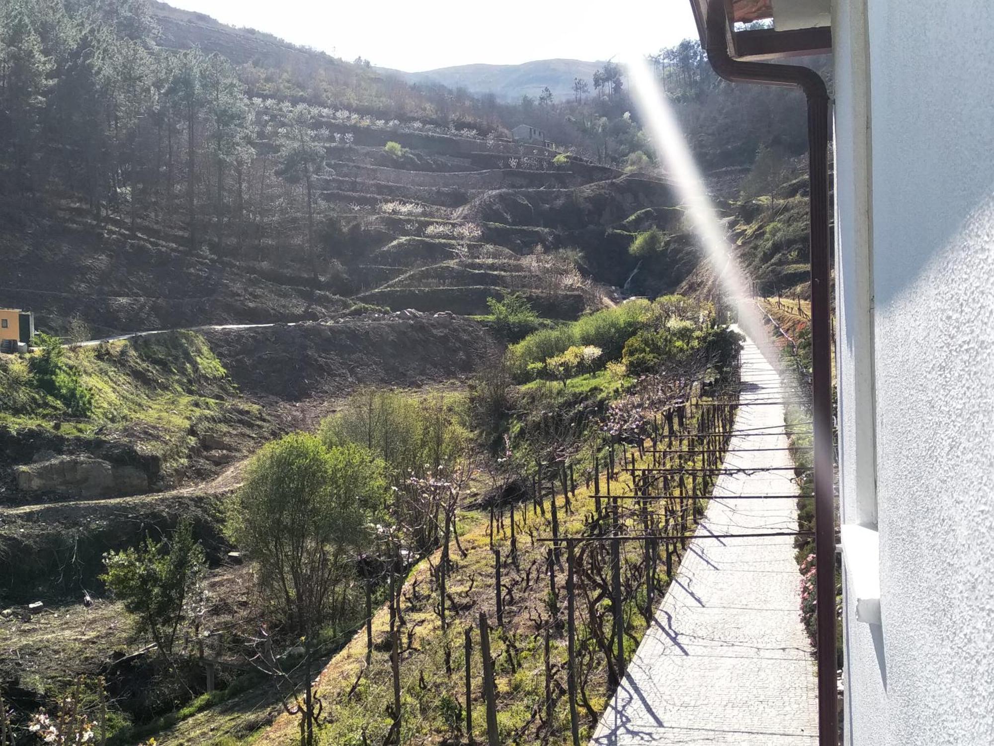 Casa Da Quinta Do Porto Villa Lamego Kültér fotó