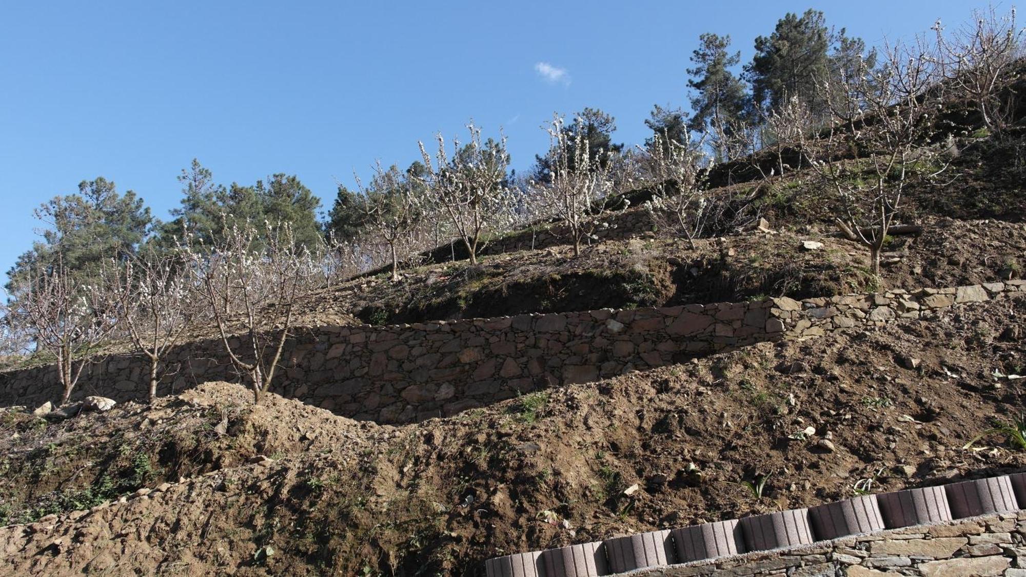 Casa Da Quinta Do Porto Villa Lamego Kültér fotó