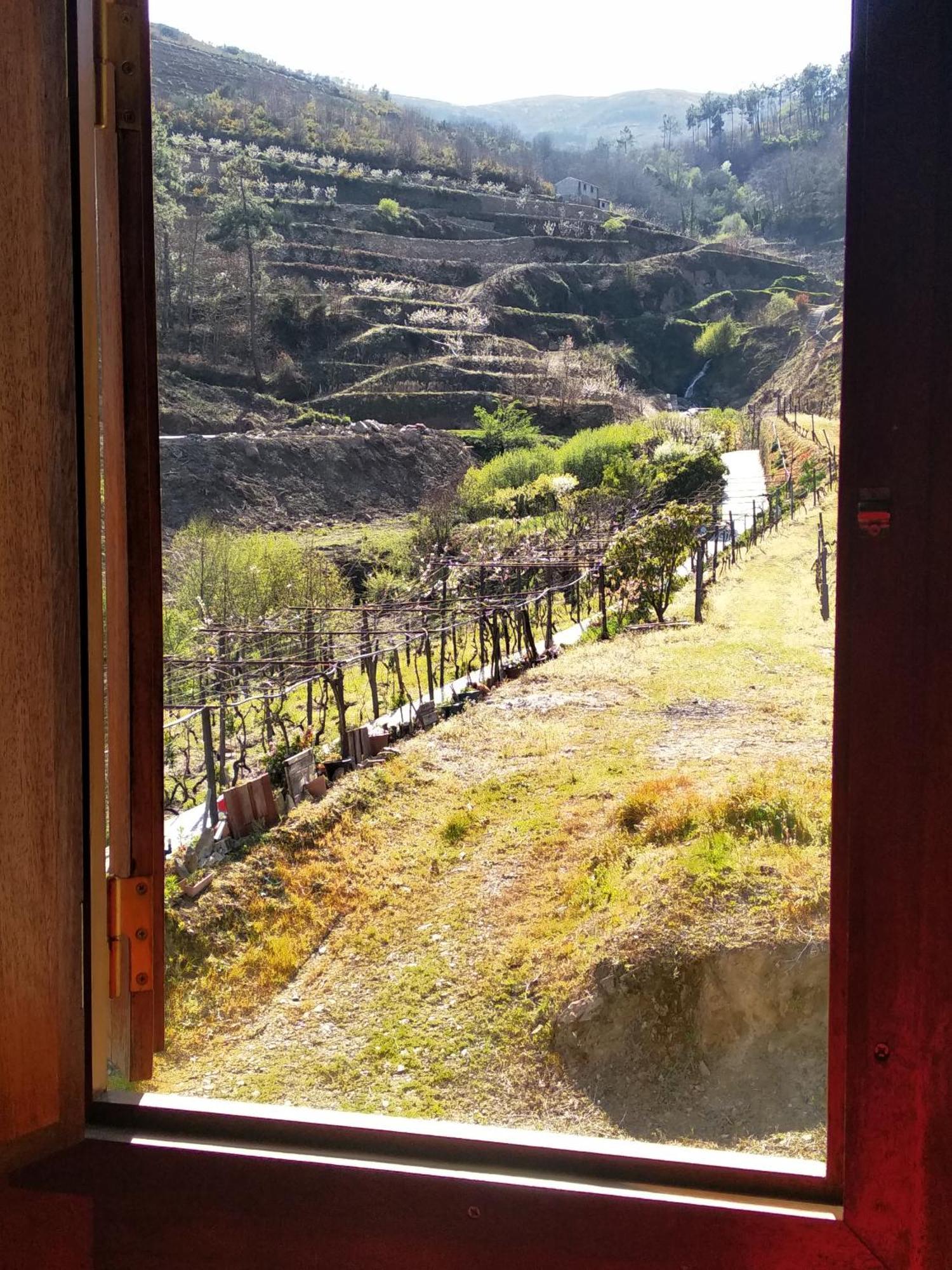 Casa Da Quinta Do Porto Villa Lamego Kültér fotó