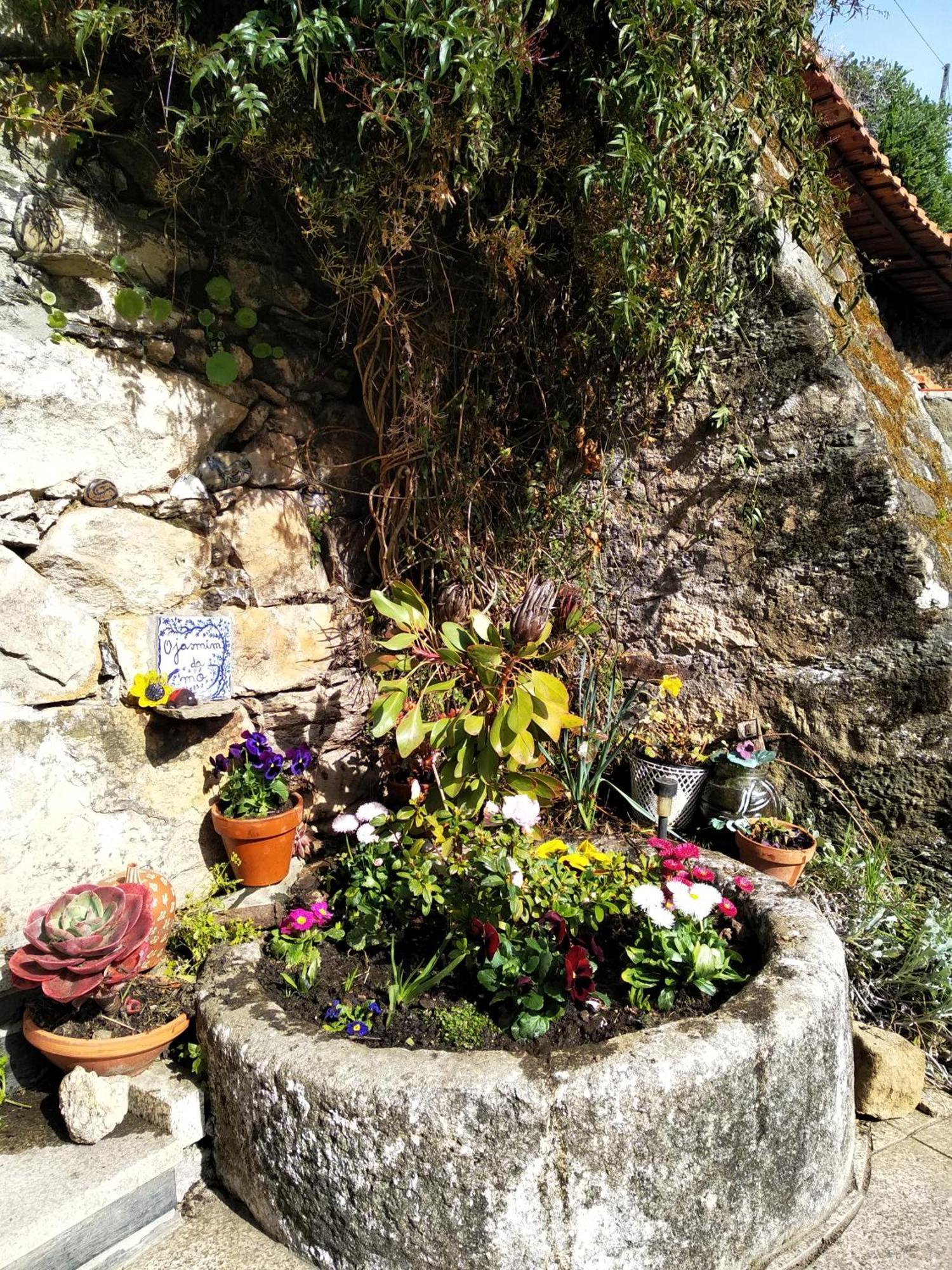 Casa Da Quinta Do Porto Villa Lamego Kültér fotó