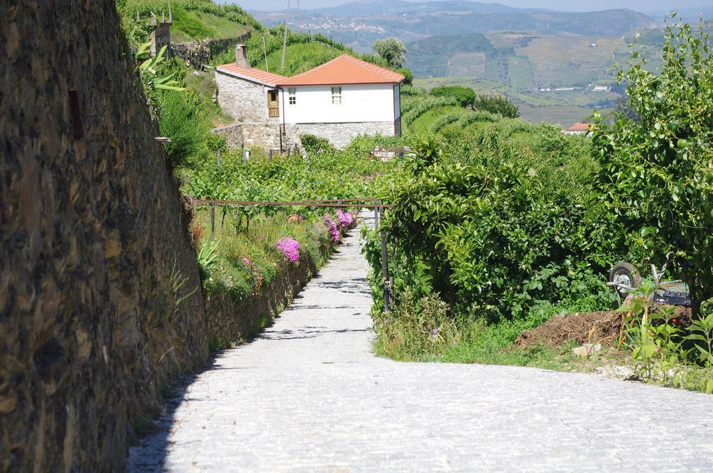 Casa Da Quinta Do Porto Villa Lamego Kültér fotó