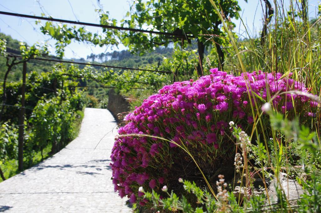 Casa Da Quinta Do Porto Villa Lamego Kültér fotó