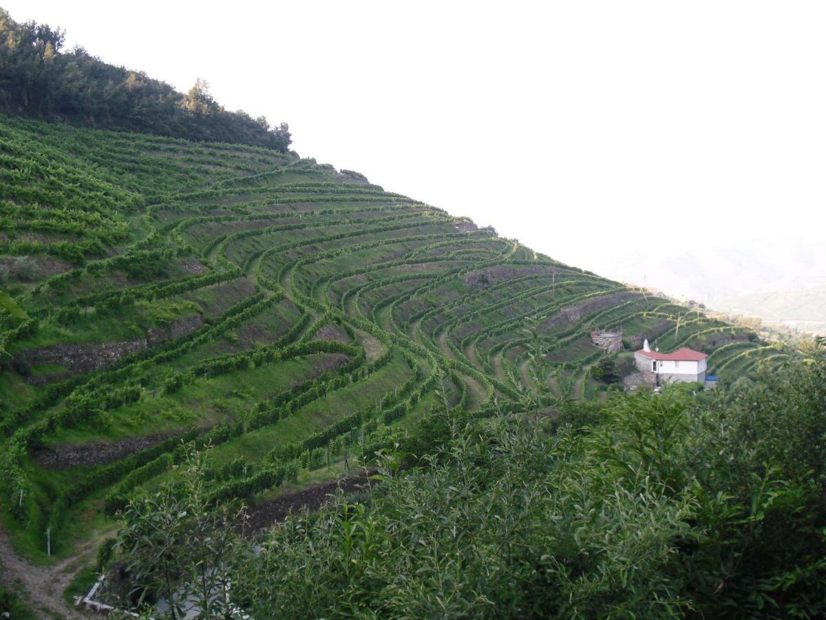 Casa Da Quinta Do Porto Villa Lamego Kültér fotó